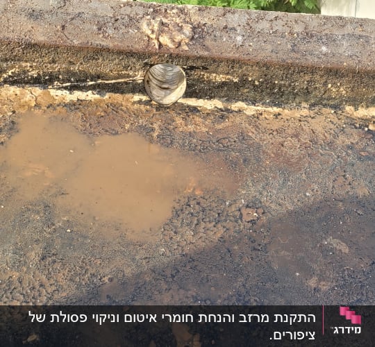 משטח בטון עם שלולית מים ופתח ניקוז